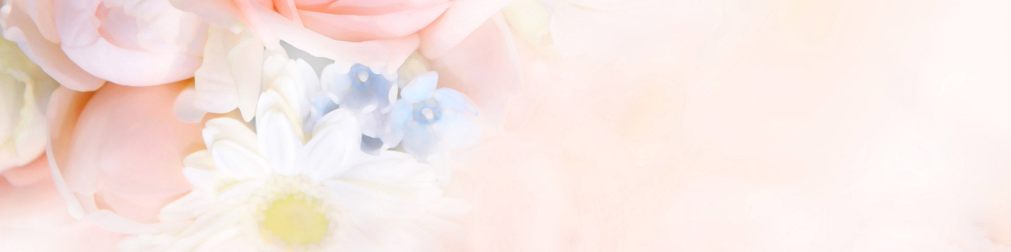 イメージ イメージ